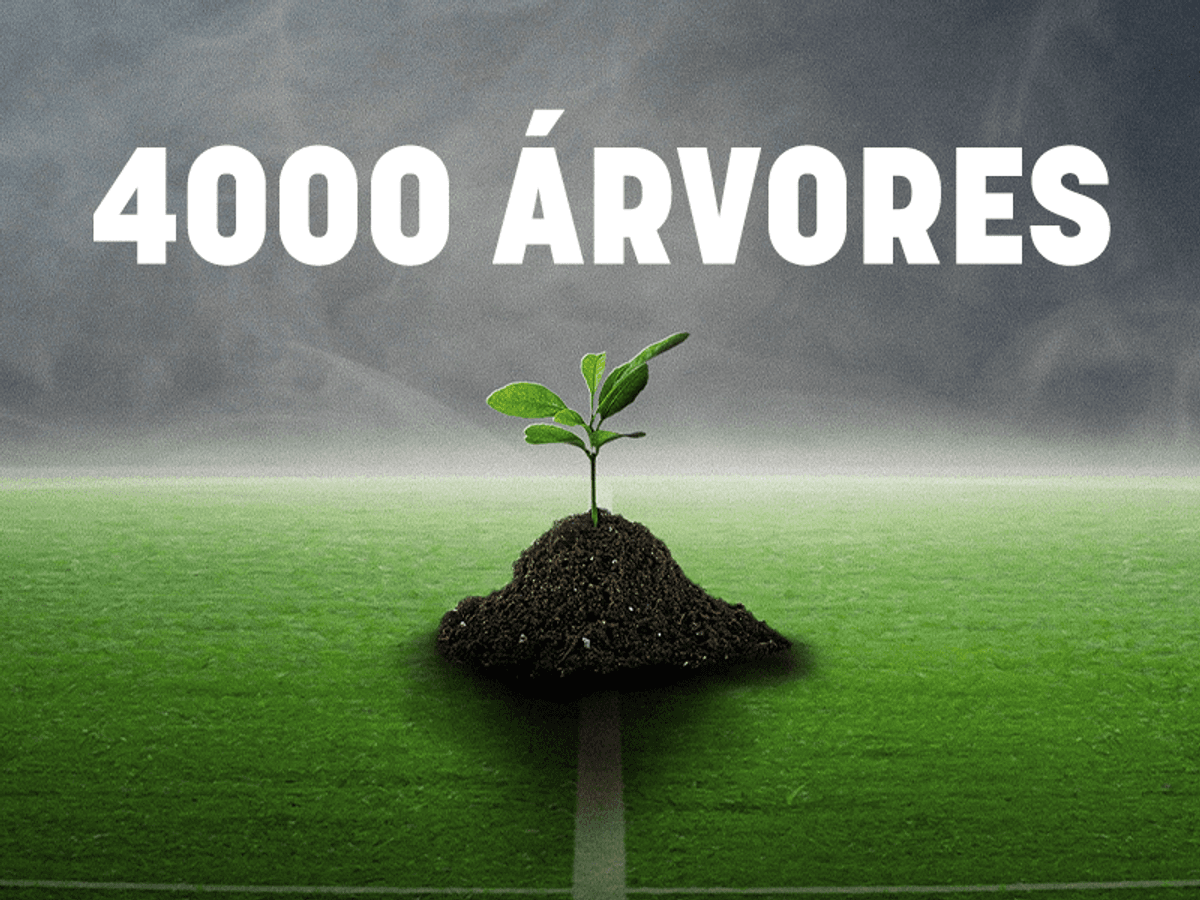Sexta jornada vale 4 000 árvores