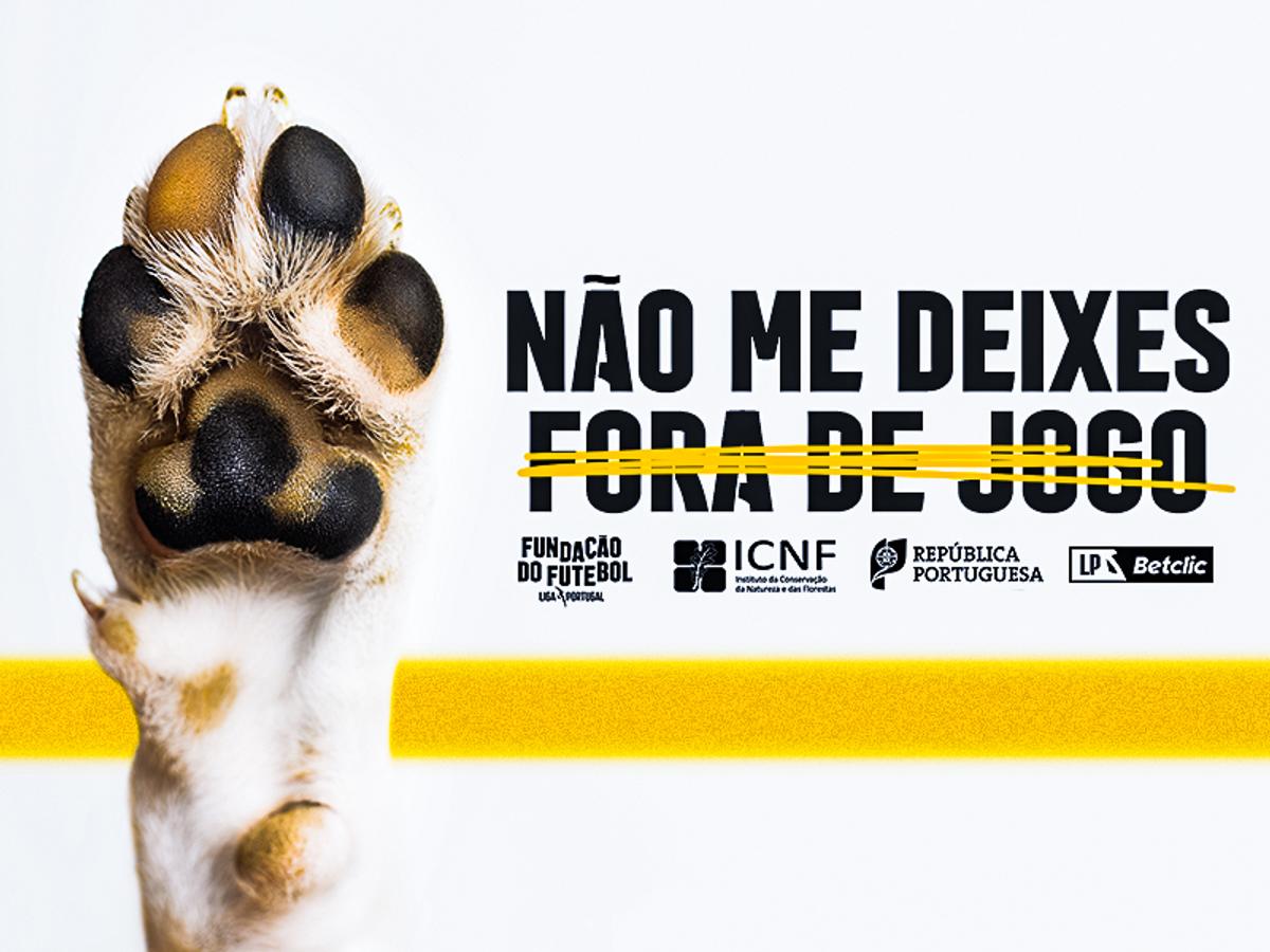 O reforço de que tu precisas