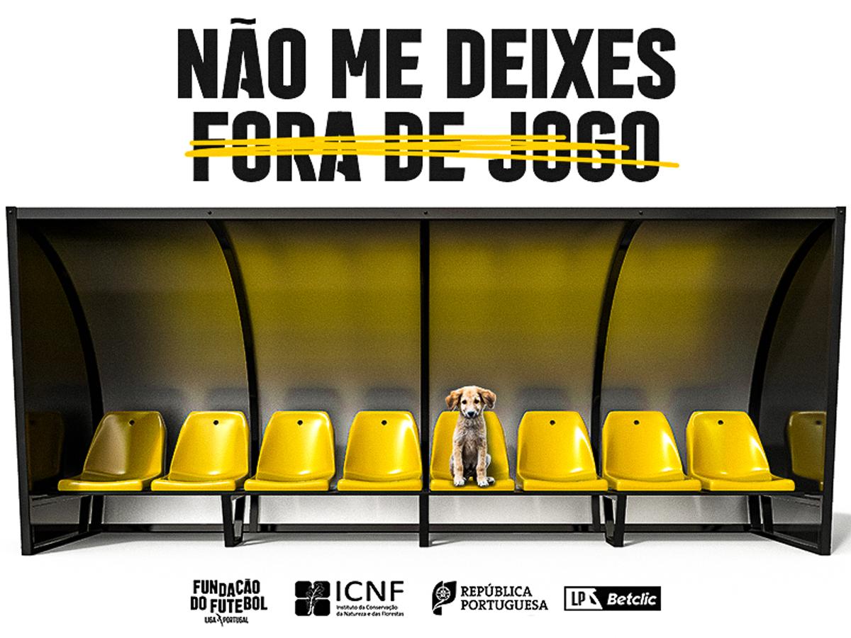 Garante aqui “O reforço de que tu precisas”