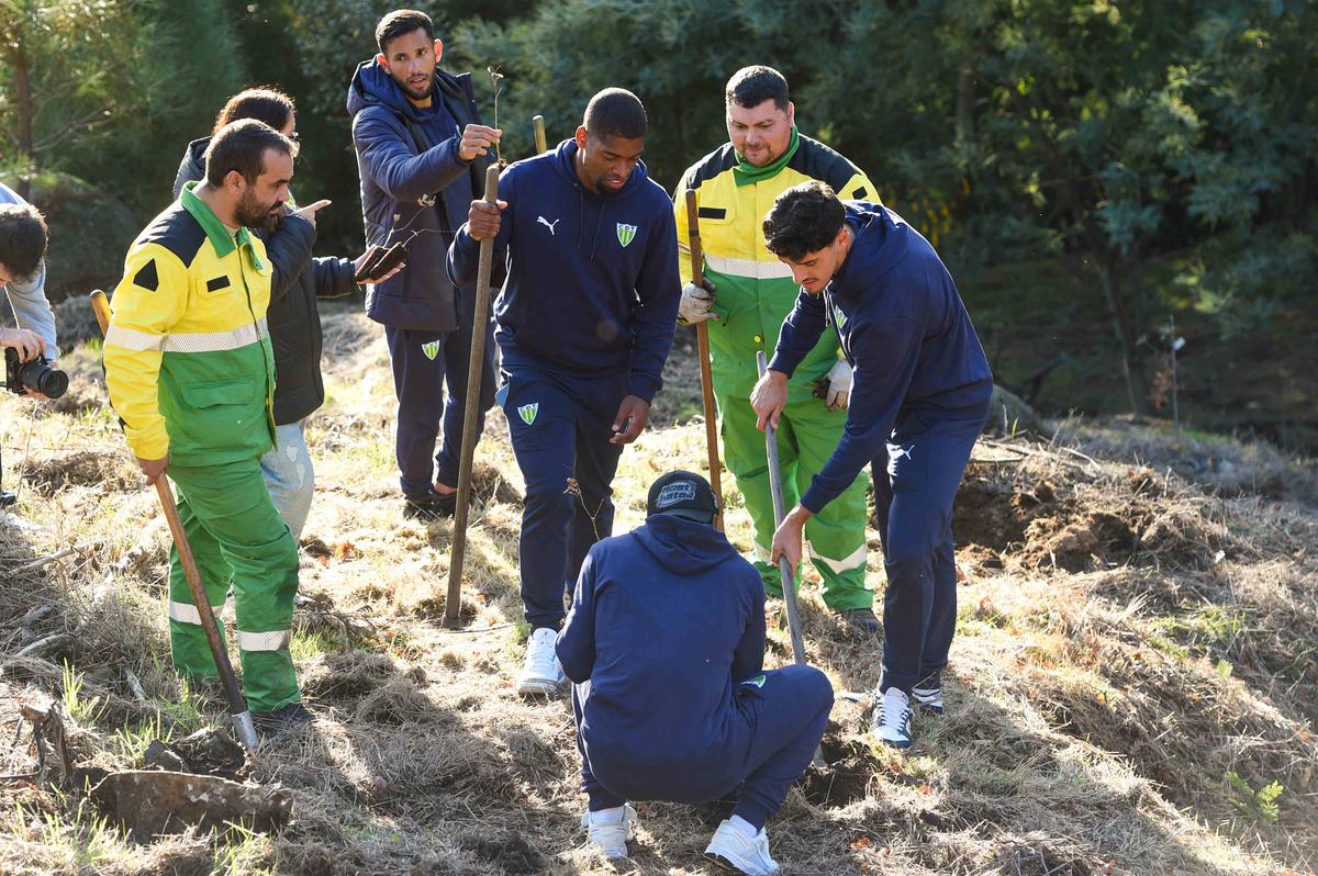 Fundação do Futebol junta-se à ação de reflorestação da CIM Viseu Dão Lafões