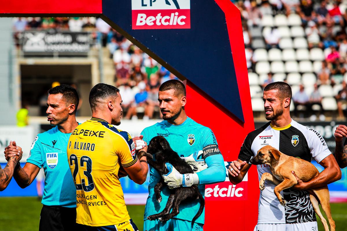 “O reforço de que tu precisas” brilhou nos relvados da Liga Portugal Betclic